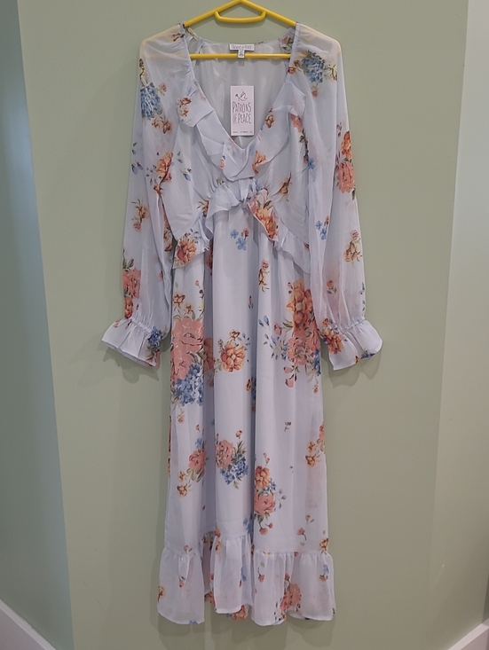 Patrons of Peace Dresses & Skirts - Patrons of Peace Pale Blue Floral Ruffle Maxi Dress